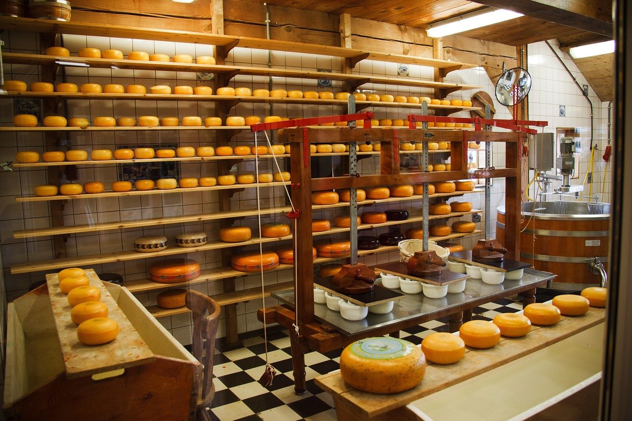 FOod cheese, clean, commercial, dairy, equipment, factory, food, industrial, industry, make, manufacture, metal, milk, plant, process, nature, production, round, steel, tank, technology, brown food, brown technology, brown plant, brown plants, brown metal, brown clean, brown industry